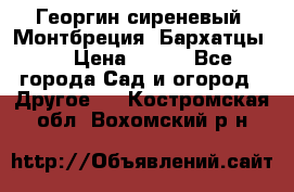 Георгин сиреневый. Монтбреция. Бархатцы.  › Цена ­ 100 - Все города Сад и огород » Другое   . Костромская обл.,Вохомский р-н